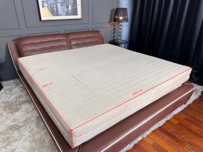 21 ฟูกที่นอน ขนาด 6.5 ฟุต แบรนด์ MINOTTI Made In Italy