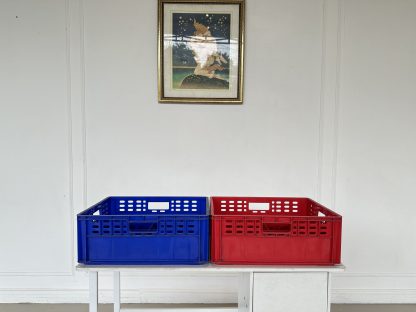 ลังพลาสติก ใส่แก้วน้ำ 12 ช่อง