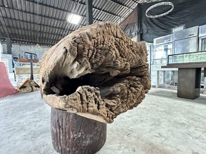 ท่อนซุงไม้สัก สำหรับตกแต่ง