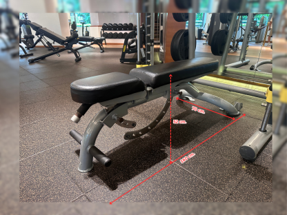 16 ม้านั่งยกน้ำหนักปรับระดับได้ (Adjustable Bench)