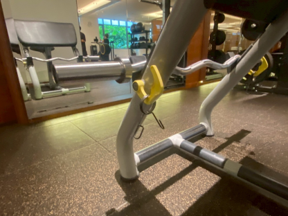 4 เครื่องฝึกกล้ามเนื้อบิเซ็ปส์ แบรนด์ Technogym (Picher Curl)