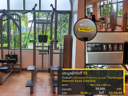 13 สเตชั่นฝึกดึงข้อและจุ่มตัว แบรนด์ Technogym (Element Assis Chin/Dip)