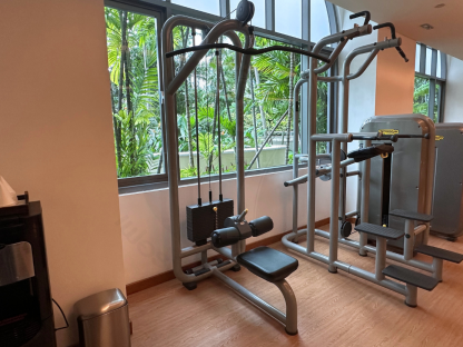 11 เครื่องฝึกกล้ามเนื้อแผ่นหลังและกล้ามเนื้อแขน แบรนด์ Technogym (Element Lat Pulldown)