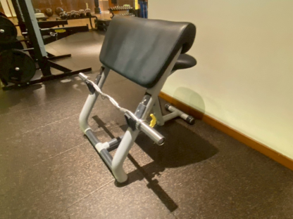 4 เครื่องฝึกกล้ามเนื้อบิเซ็ปส์ แบรนด์ Technogym (Picher Curl)