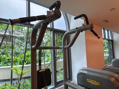 10 สเตชั่นฝึกดึงข้อและจุ่มตัว แบรนด์ Technogym (Element Assis Chin/Dip)