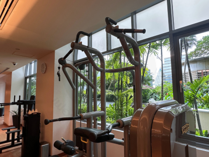 10 สเตชั่นฝึกดึงข้อและจุ่มตัว แบรนด์ Technogym (Element Assis Chin/Dip)