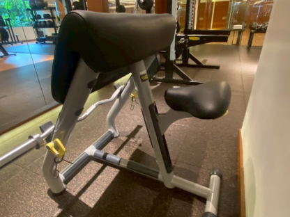 4 เครื่องฝึกกล้ามเนื้อบิเซ็ปส์ แบรนด์ Technogym (Picher Curl)