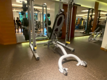 16 ม้านั่งยกน้ำหนักปรับระดับได้ (Adjustable Bench)