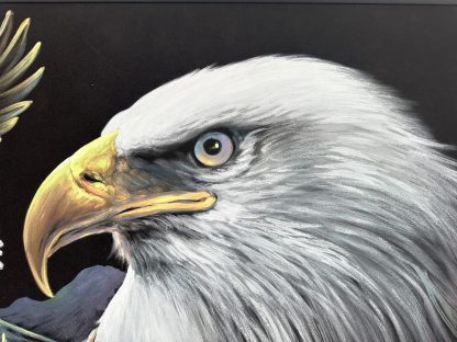 ของตกแต่ง ภาพวาดสีน้ำบนผืนผ้ากำมะหยี่ รูปนกอินทรีย์ กรอบไม้สีดำ